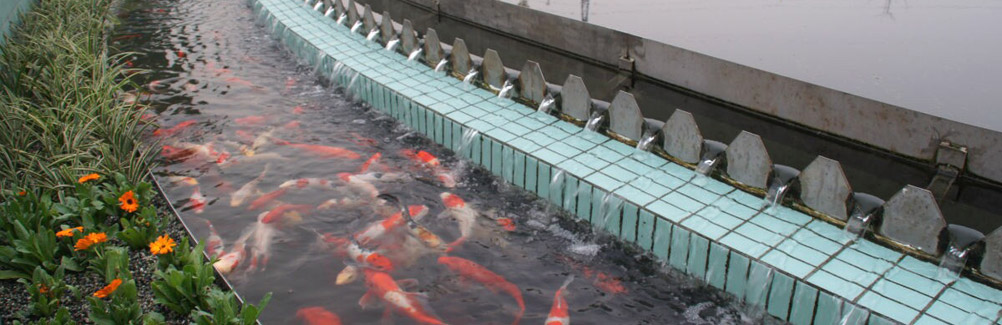 ���{�h��